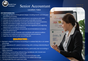 A female accountant presenting financial charts during a meeting